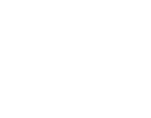 HOPPR Collaborates with Viz.ai to Revolutionize AI-Driven Healthcare Solutions