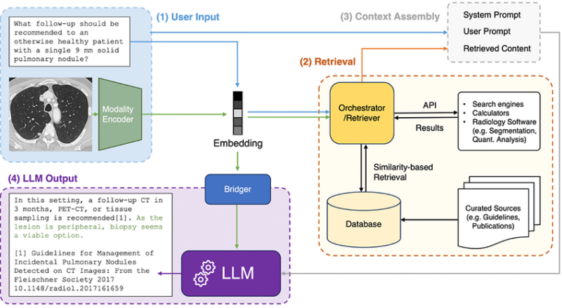 Diagram Large Language Models Medical Imaging