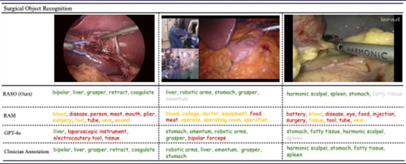 Surgical Object Recognition